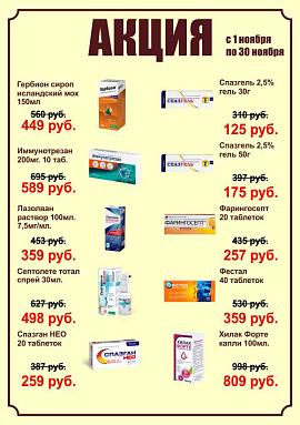 Акция! С 01 ноября по 30 ноября 2025 г.